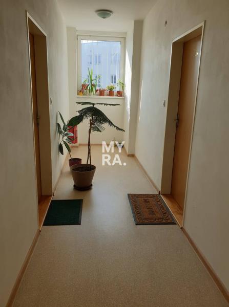 Pekný 2 izb. byt pri Veterine