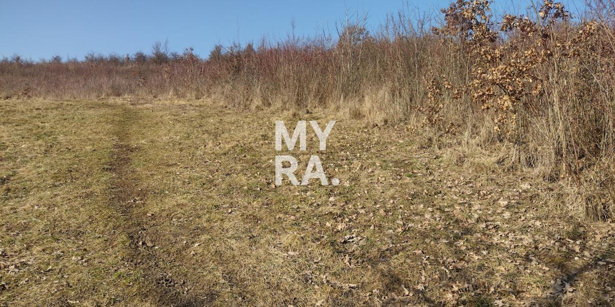 Na predaj pozemok - Veľký Šariš 1367 m2