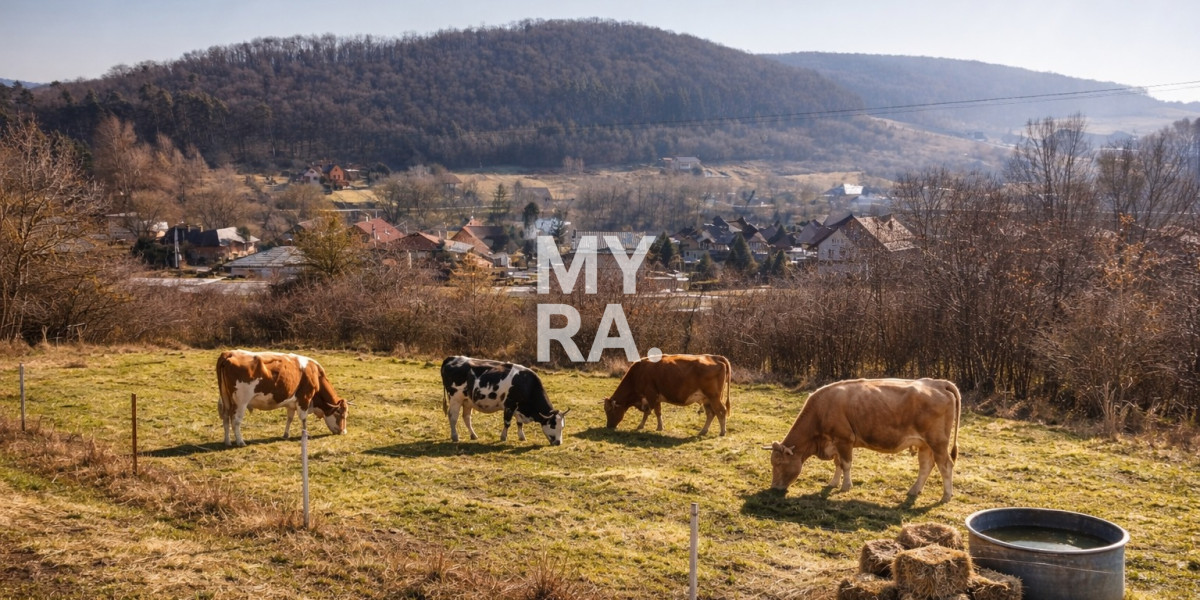 Na predaj pozemok - Veľký Šariš 1367 m2