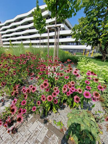 Pekný nový byt v rezidencii LAGO