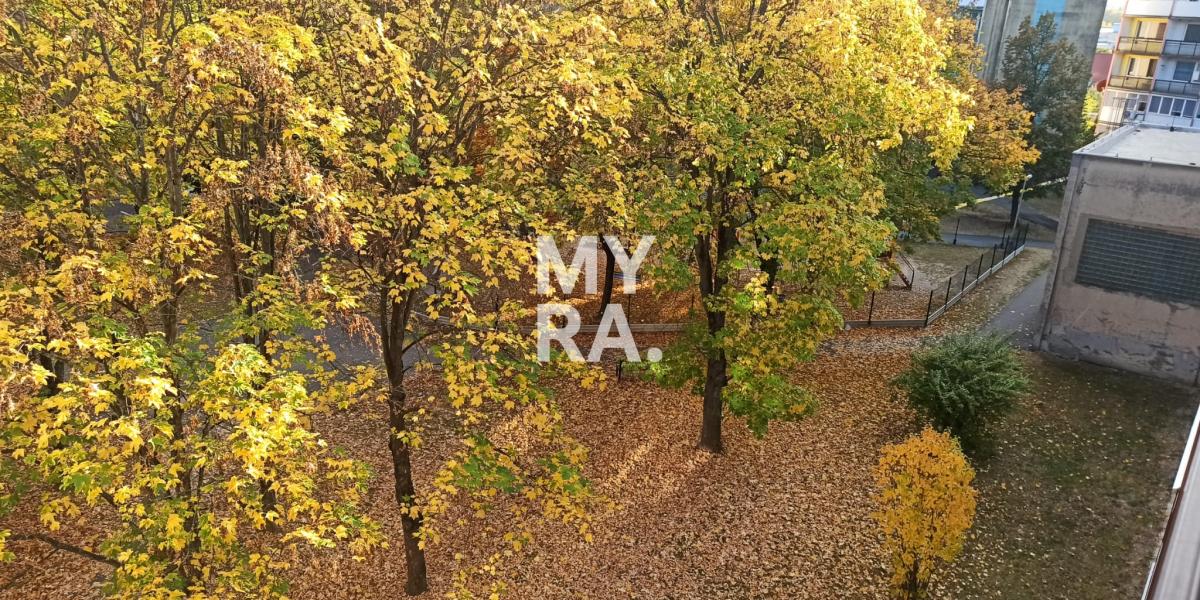 Tehlový 2,5-izb. byt, 2 pivnice, Vranov nad Topľou
