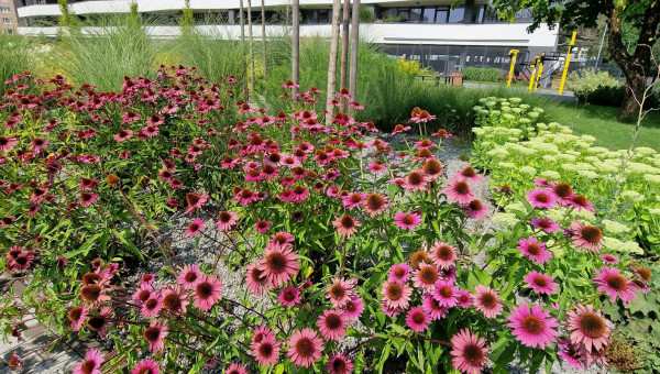 Pekný nový byt v rezidencii LAGO